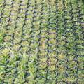 UV resistant lawn protection mesh