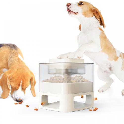 square pet fun feeder for dog