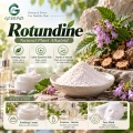 Rotundina 98%–99% Alcalóide Corydalis em pó