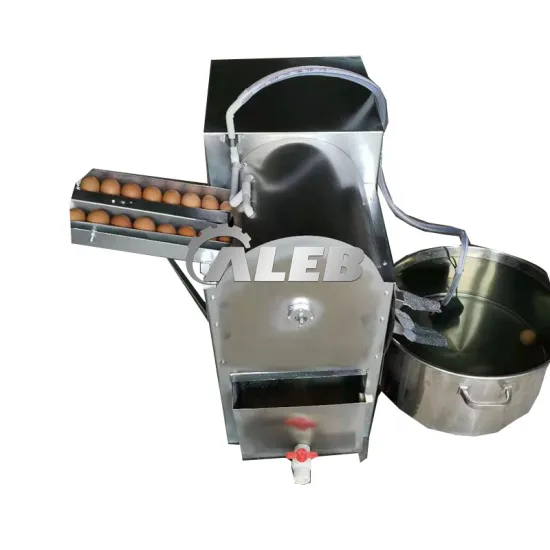 High Capacity Goose Egg Washer: 2000-3600 PCS/h Processing Machine with Brush Roller Cleaning Technology