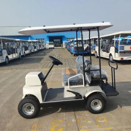 Lead-acid battery electric vehicle