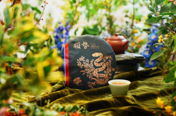 2025 Shun Shi Collector`s Grade Pu'er Tea 357g