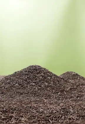 Pure Coffee Bean Tofu Cat Litter Paw Friendly