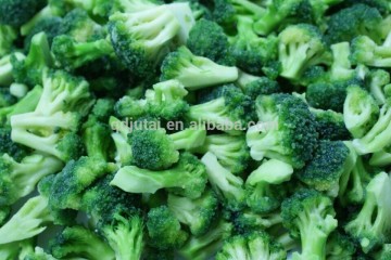 2015 Wholesale bulk frozen broccoli