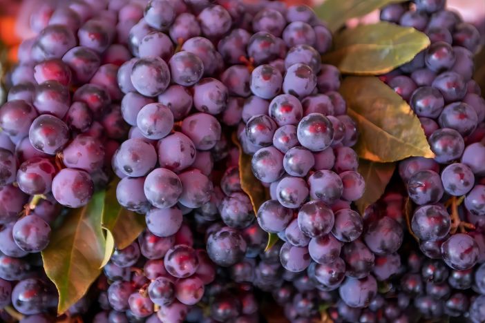 Grape Seed(1)