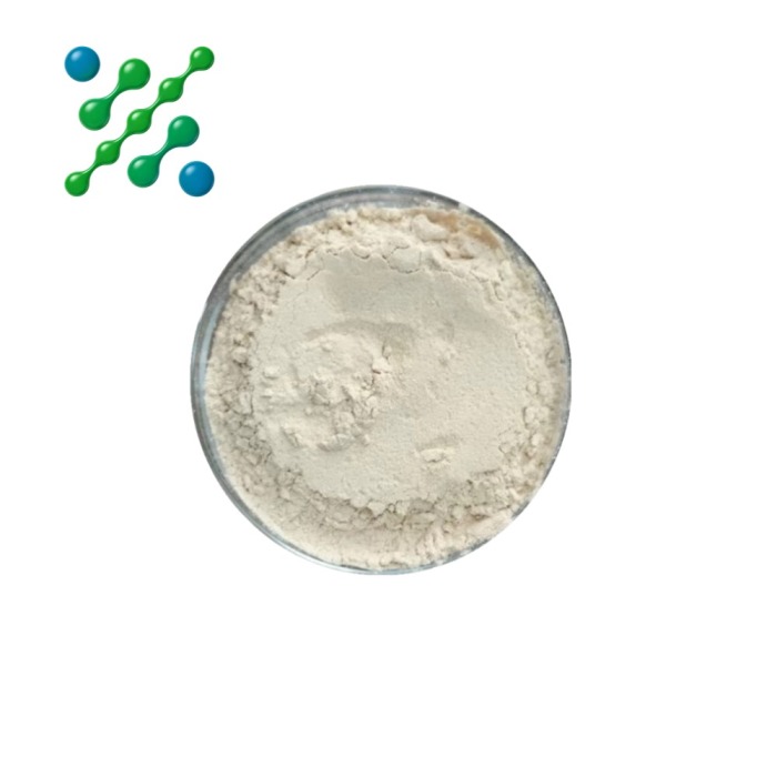 Creatine Monohydrate Powder Muscle Growth