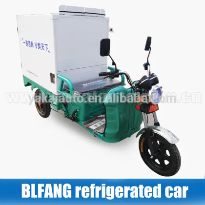 electrical reefer piaggio ape/ tuk-tuk/ tricycle for vegetable transportation