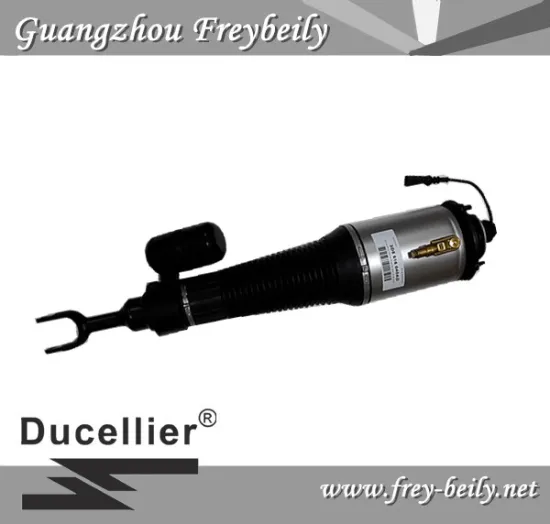 3D0 616 039D/ 3D0 616 040D Left Front/ Right Front Air Suspension Shock for Volkswagen Phaeton, Bentley Continental