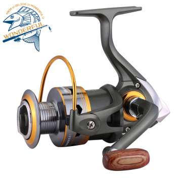 Best Cheap Chinese Spincast Reels for Deep Sea Fishing