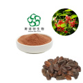 Premium Quisqualis Indica Extract for Natural Wellness Solutions