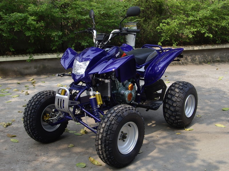 200cc EEC Racing ATV Gt200st-B