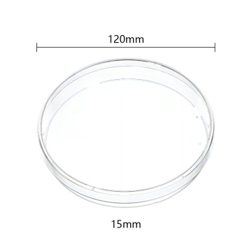 Piatto di Petri rotondo sterile 120x15 mm, 4 prese d&#39;aria