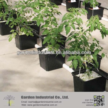 Soil Amendment Perlite Soil