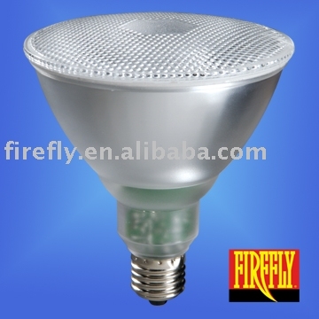 Energy Saving Lamp (FPA38-23W)