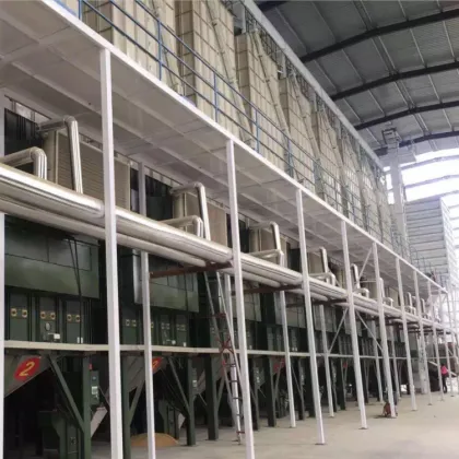 CLJ Low Temperature Grain Paddy Dryer Machines (5T-30T) Manufacturers