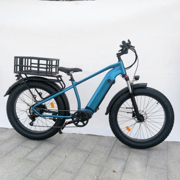 Hoge snelheid 20 inch hybride vetband elektrische fiets: 750W 48V retro vintage MTB met vrachtmand