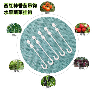 Tomato Hook and Planting Spike Manufacturers for Horticultural Use