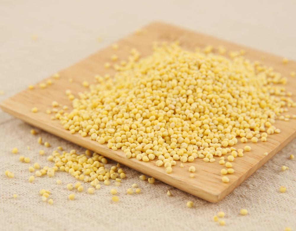 5000 Grains Of Rice