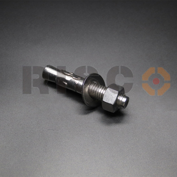 Stainless Steel Wedge Anchor