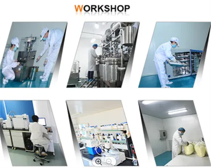 Xylitol Bulk Xylitol Price Xylitol Sweetener