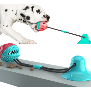 子犬犬の訓練は歯が生えるロープのおもちゃを扱います