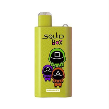 RANDM SQUID BOX wholesale dosposable vape