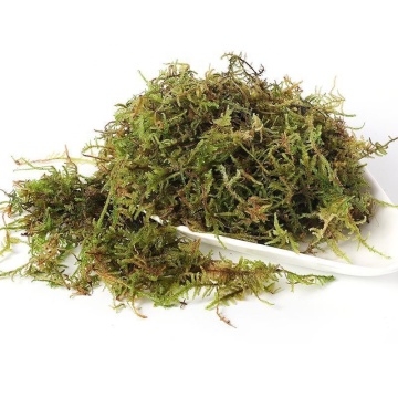 Natural Dry Moss and Orchid Supplies for Custom Packaging