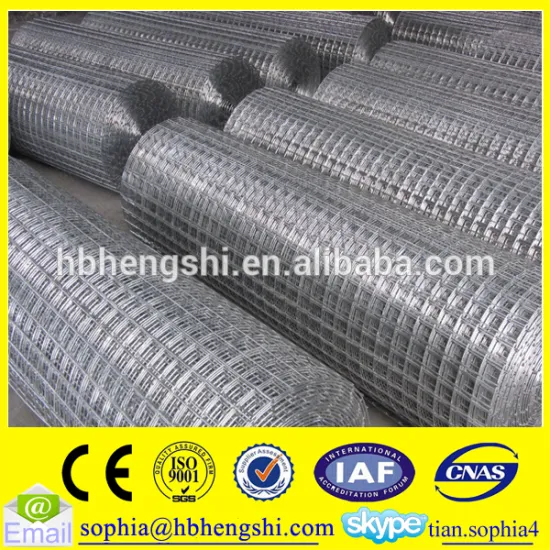 cheap hot dipped galvanized welded wire mesh roll