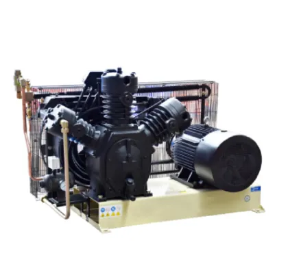 Golden Supplier Chiller for Blow Molding Machine Auxiliary Equipment