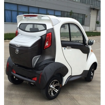 New Energy Electric Vehicle