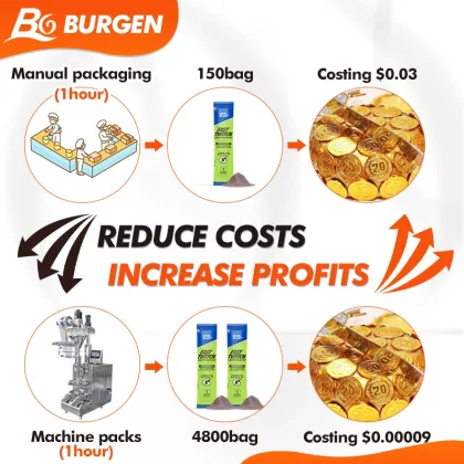 BG Automatic Chilli Curry Spice Packing Machines