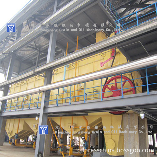 machine for canola oil extraction