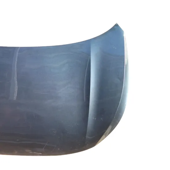 Hot Sale Car Parts - Engine Hood Cover 12D823031 ID6