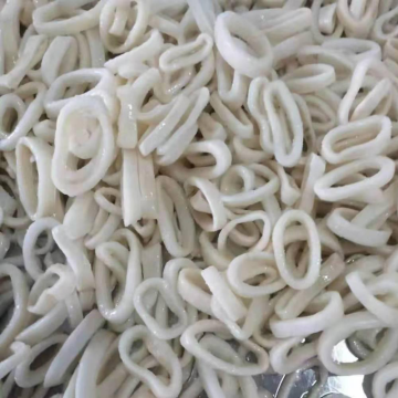 Frozen Squid Rings EU Dirawat Todarodes Pacificus Rings