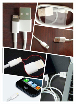 8 Pin USB Cable for iPhone 5 (USB5)