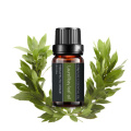 Pure Laurel/Bay Leaf Essential Oil For Cosmetics Massage