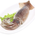 Cabeza de calamar illex 100% peso neto