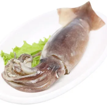 100% Net Weight illex squid head