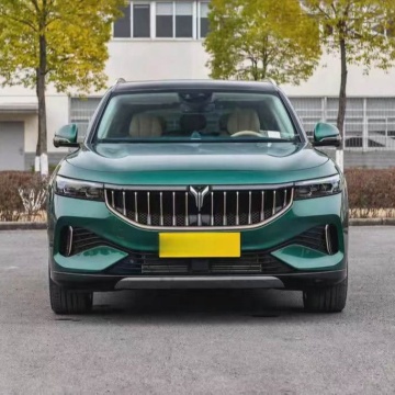2022 Top Selling Lantu FREE NEVs: High-Speed, Long-Range Electric Vehicles