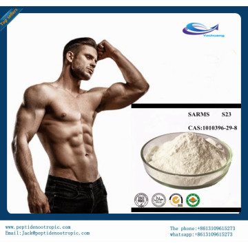 supply best Raw Powder S23 with 99% Purity