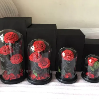 Factory Direct: 2024 Hot Selling Eternal Rose Preserved Flower in Glass Dome