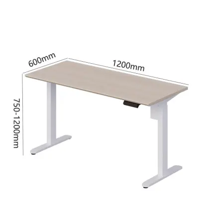 Adjustable Height Electric Lift Desk - Home Computer Lifting Table