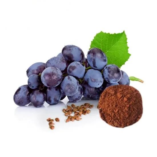 Grape Seed Extract OPC Oligomeric Proantho Cyanidins Powder
