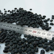 Black kidney bean  With Low Price