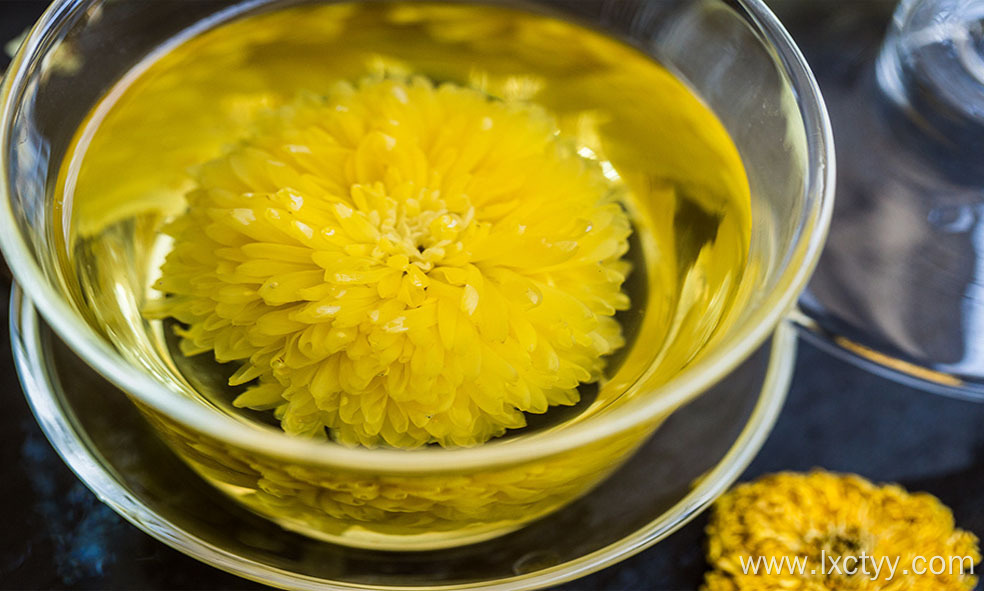 organic chrysanthemum flower tea