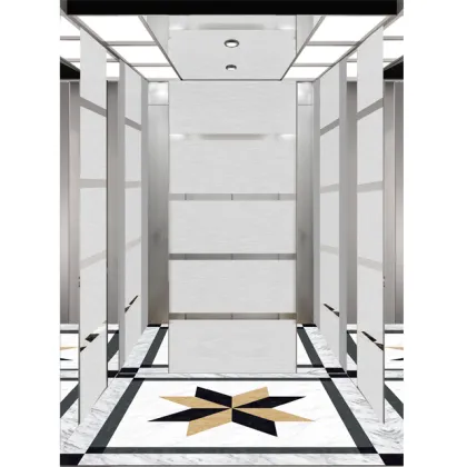 Foshan Leo Office Passenger Lift Elevator
