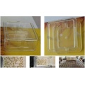 Seed germinating box seed germinating box