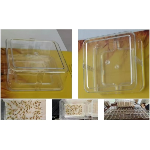 ABS Injection molding box Seed germination/sprouting box