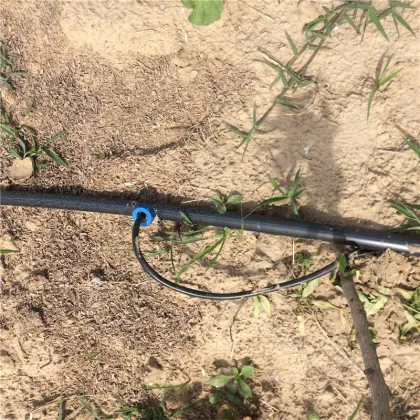 Single Arrow and Double Arrow