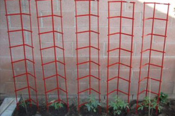 Stacking Tomato Ladder Cage